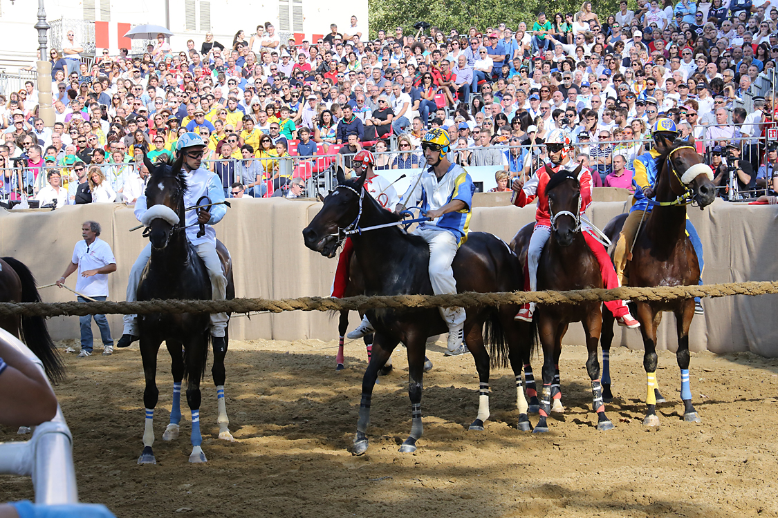 Palio2016_027.jpg