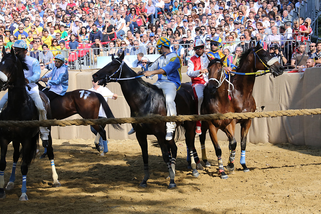 Palio2016_028.jpg