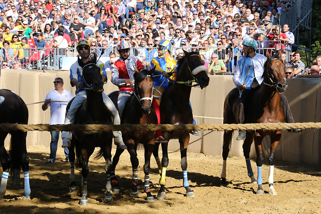 Palio2016_030.jpg