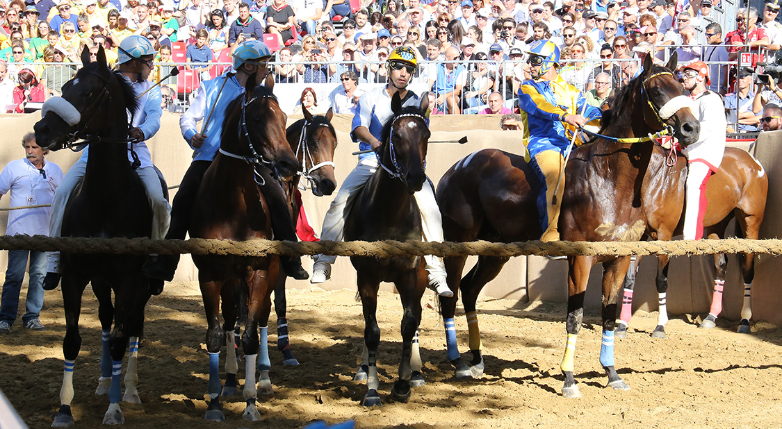 Palio2016_032.jpg