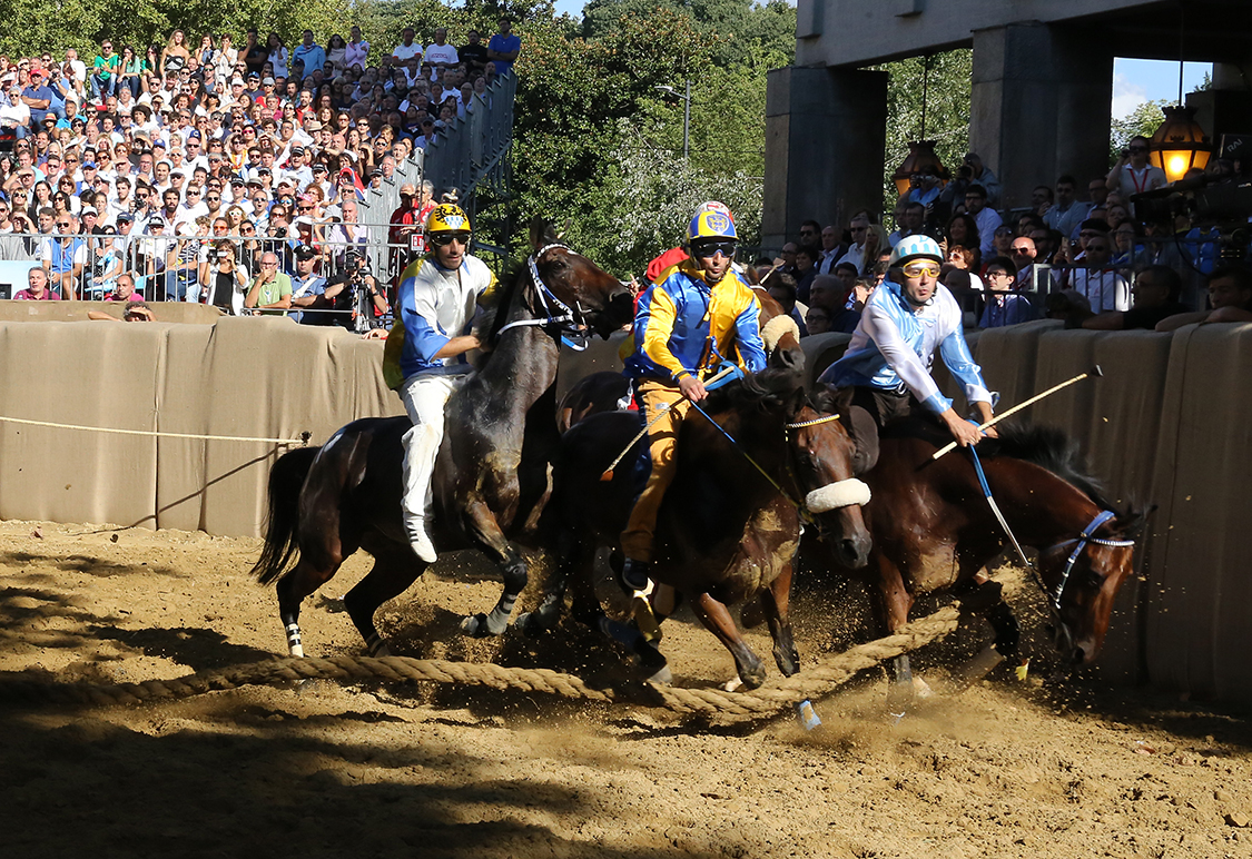 Palio2016_033.jpg