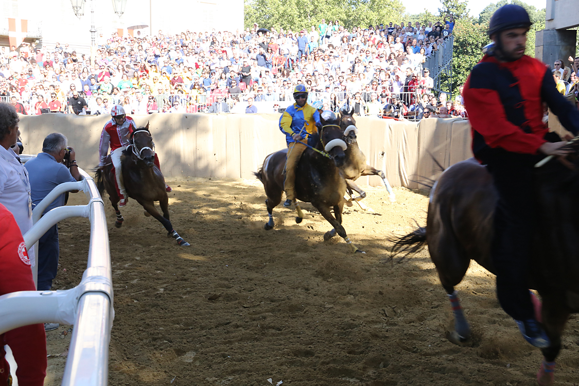 Palio2016_036.jpg