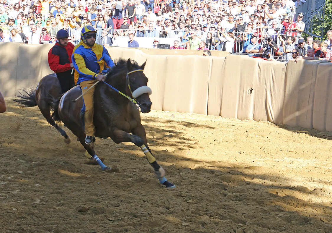 Palio2016_037.jpg