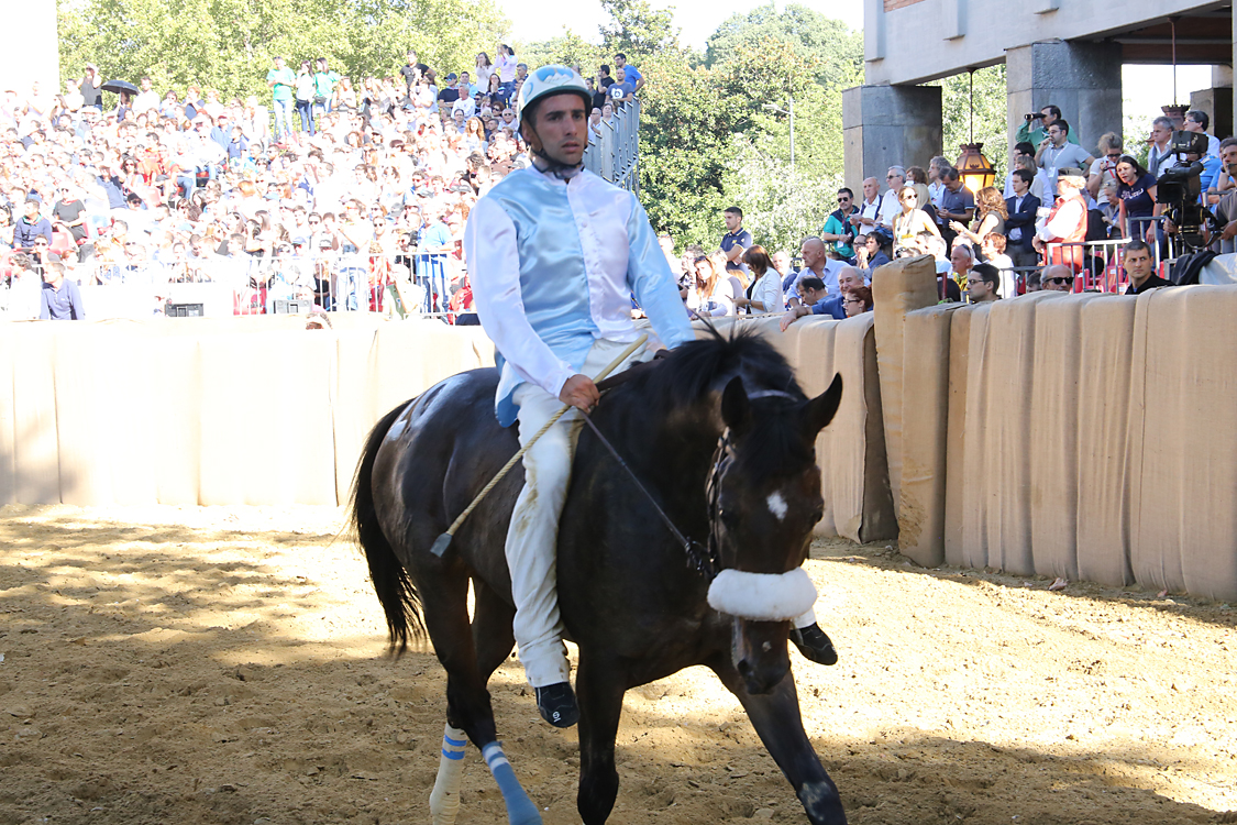 Palio2016_039.jpg