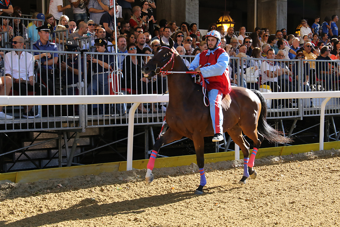Palio2016_044.jpg