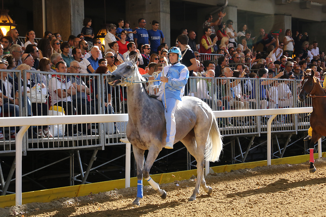 Palio2016_046.jpg
