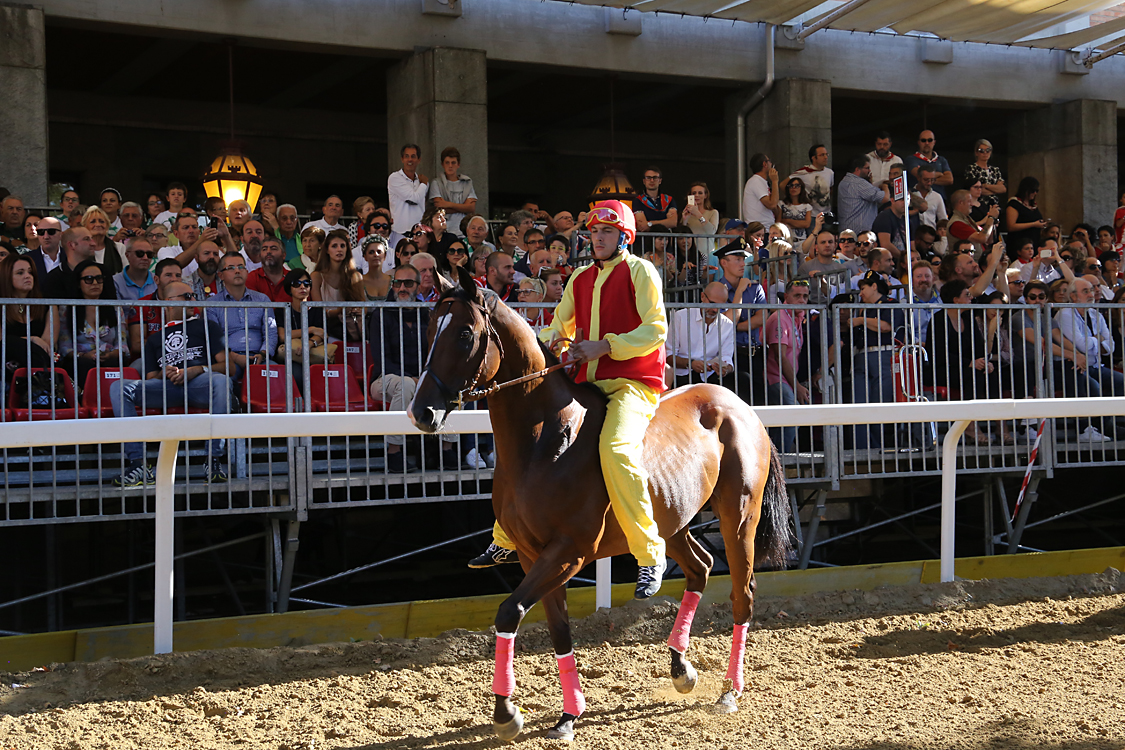 Palio2016_047.jpg