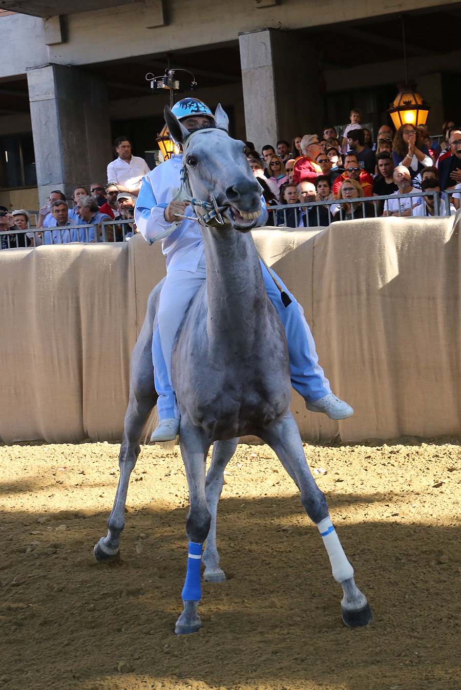 Palio2016_048.jpg