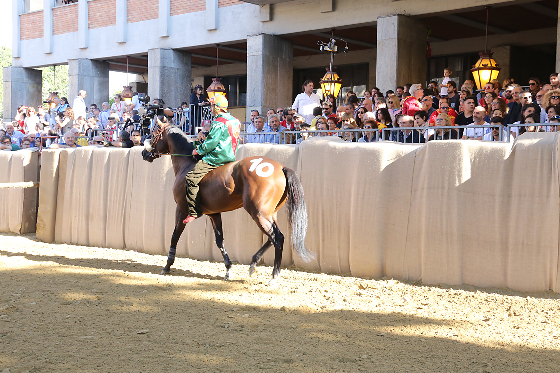 Palio2016_050.jpg