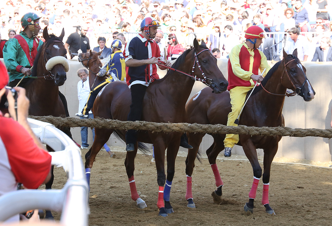 Palio2016_051.jpg