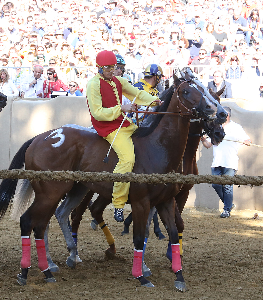 Palio2016_052.jpg