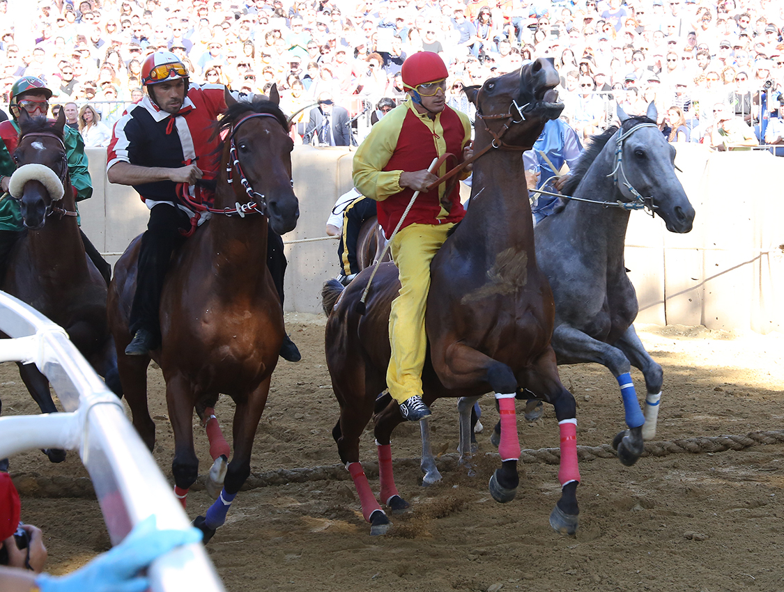 Palio2016_054.jpg