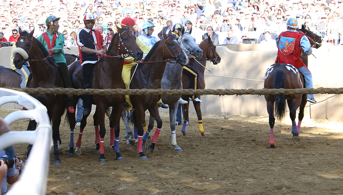 Palio2016_056.jpg