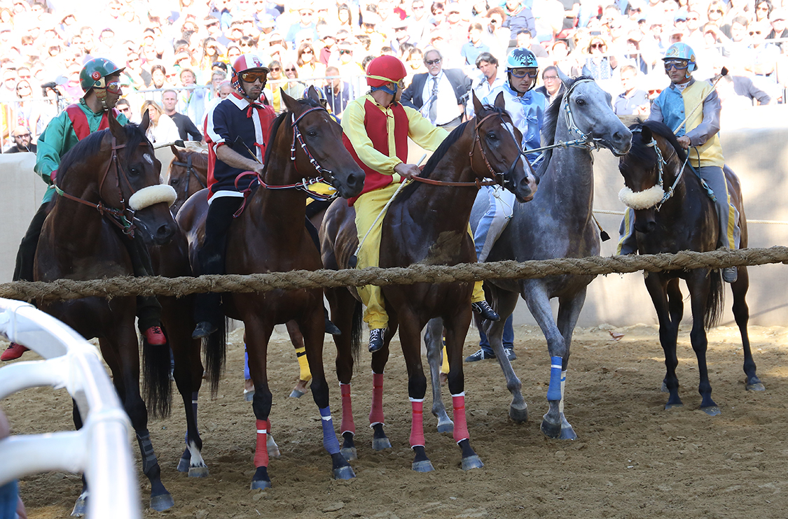 Palio2016_057.jpg