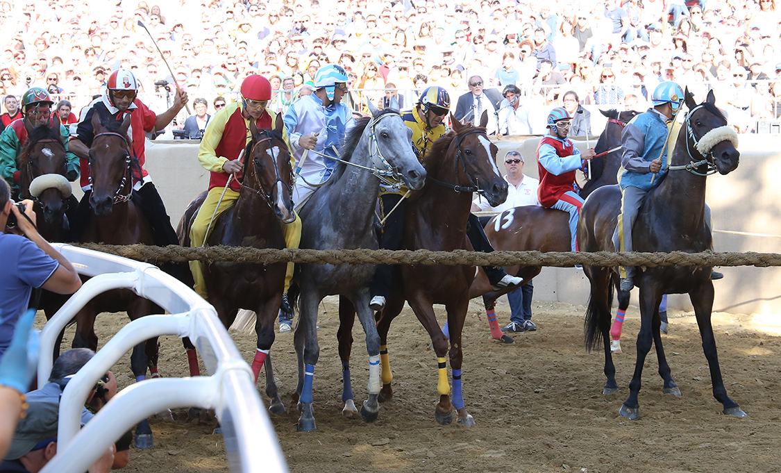 Palio2016_058.jpg