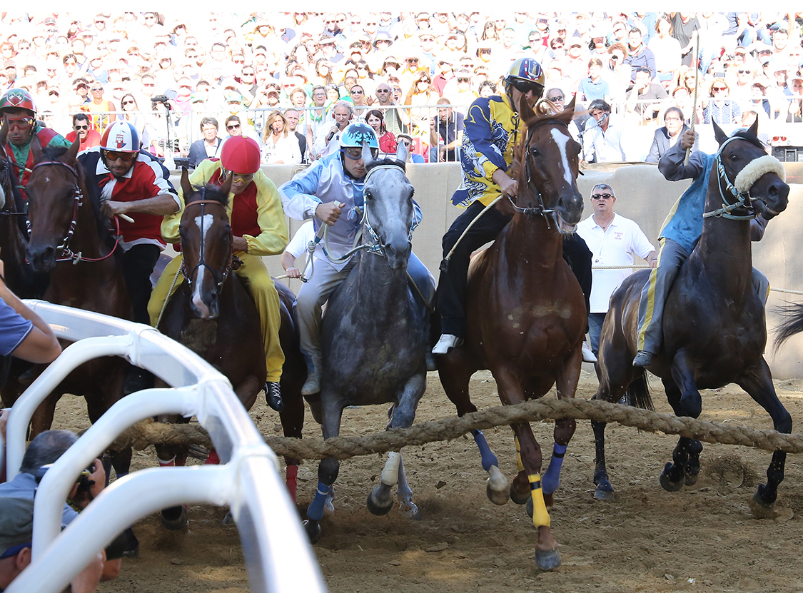Palio2016_059.jpg