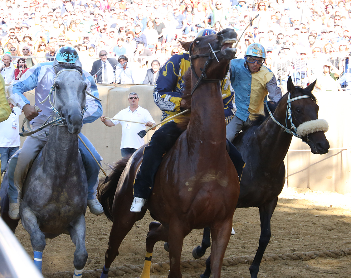 Palio2016_060.jpg