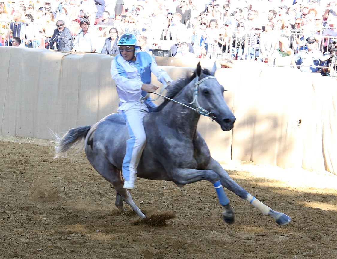 Palio2016_061.jpg
