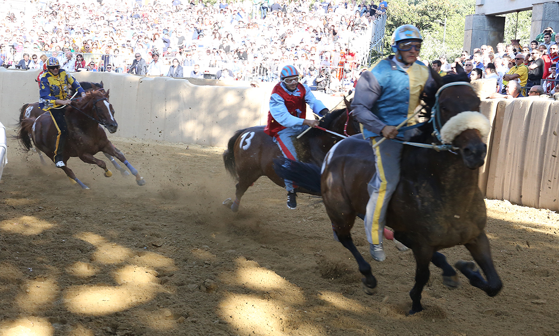 Palio2016_063.jpg