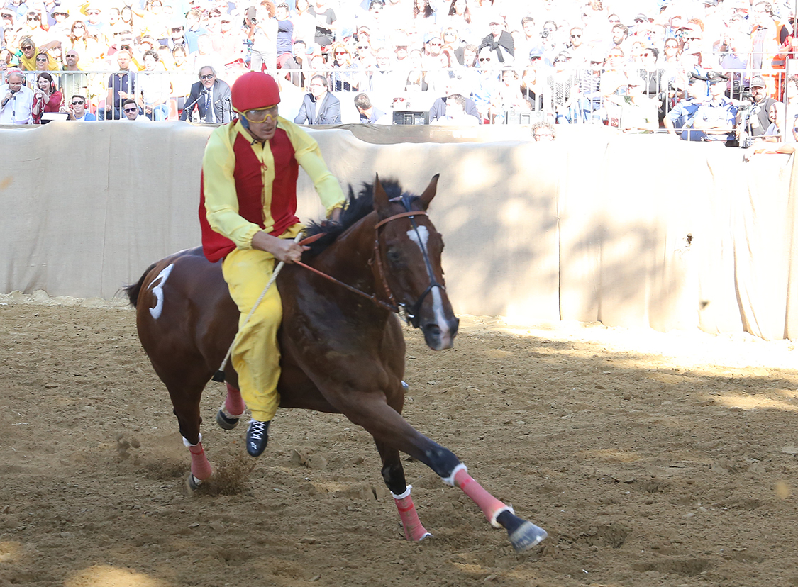 Palio2016_065.jpg