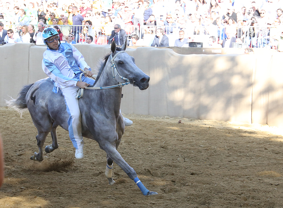 Palio2016_067.jpg