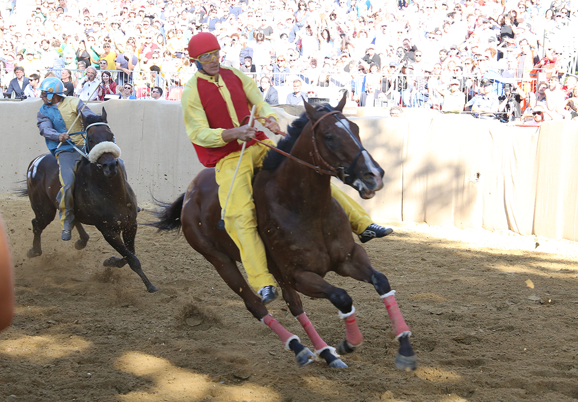 Palio2016_068.jpg