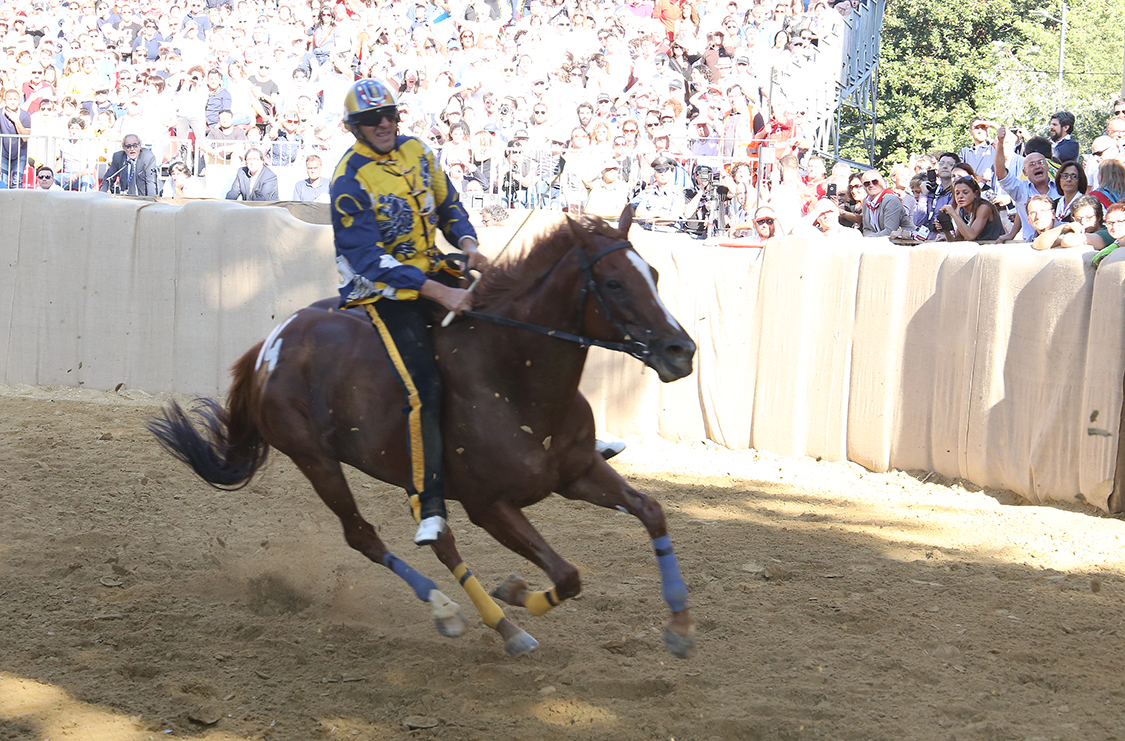 Palio2016_070.jpg