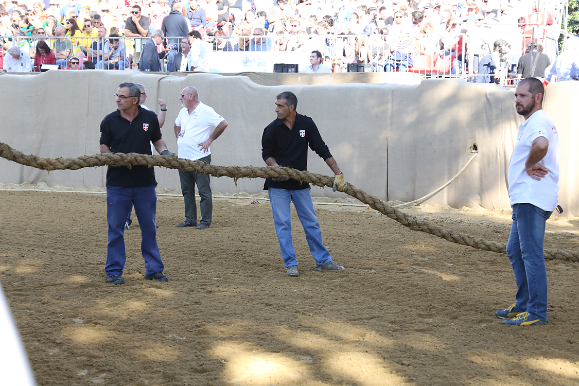 Palio2016_075.jpg