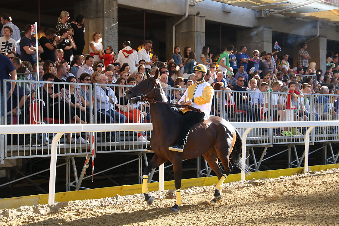 Palio2016_077.jpg