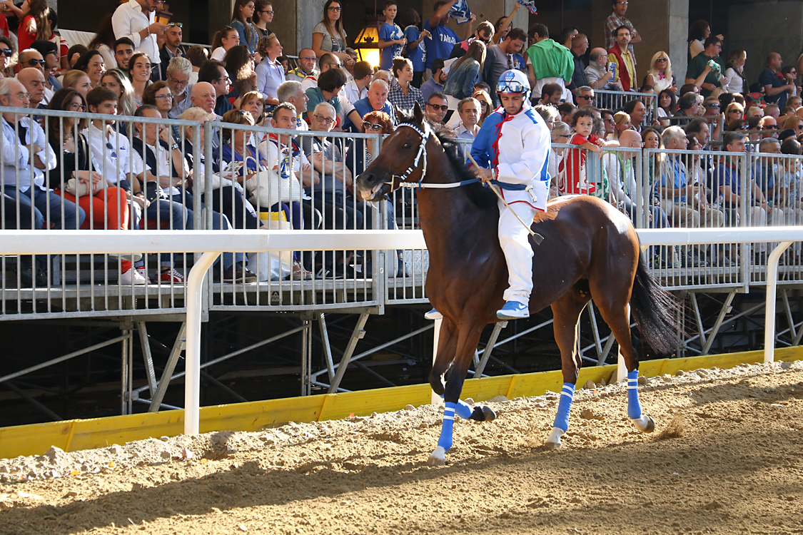Palio2016_078.jpg