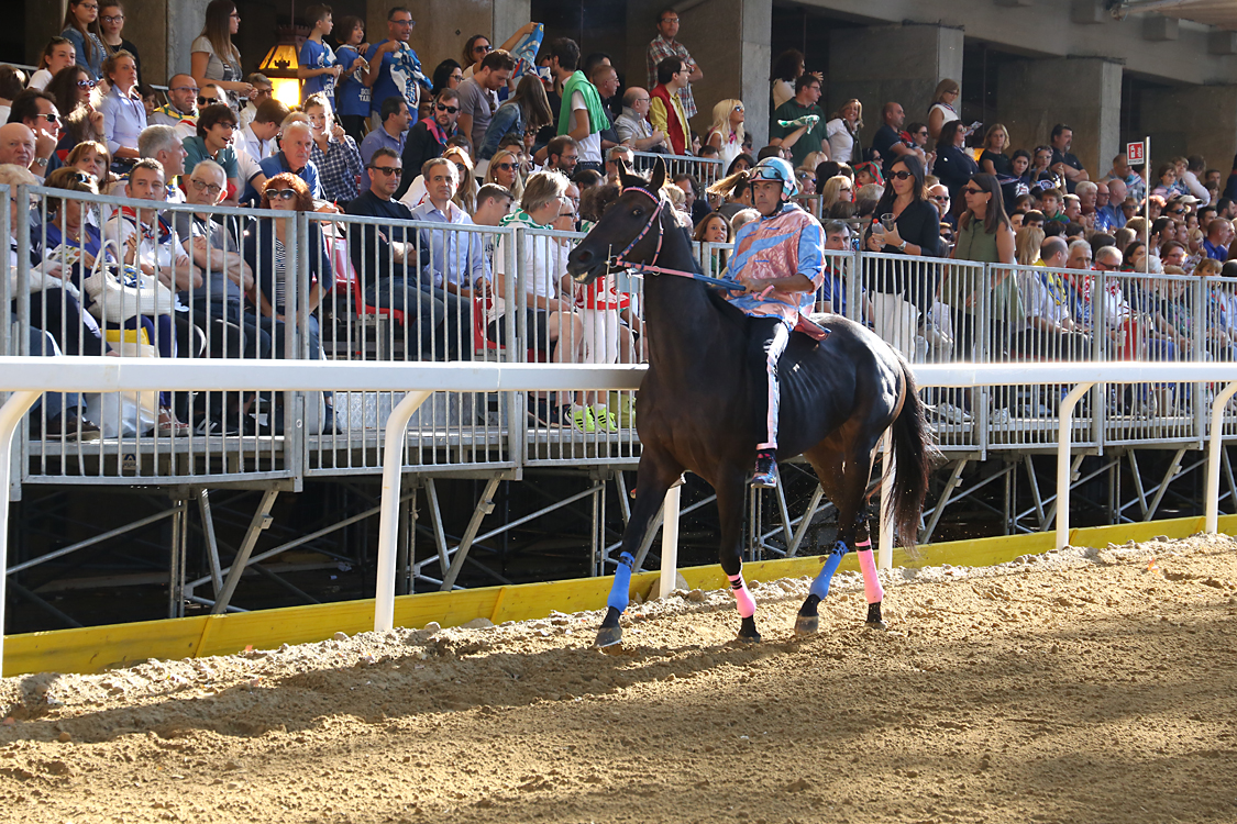 Palio2016_079.jpg