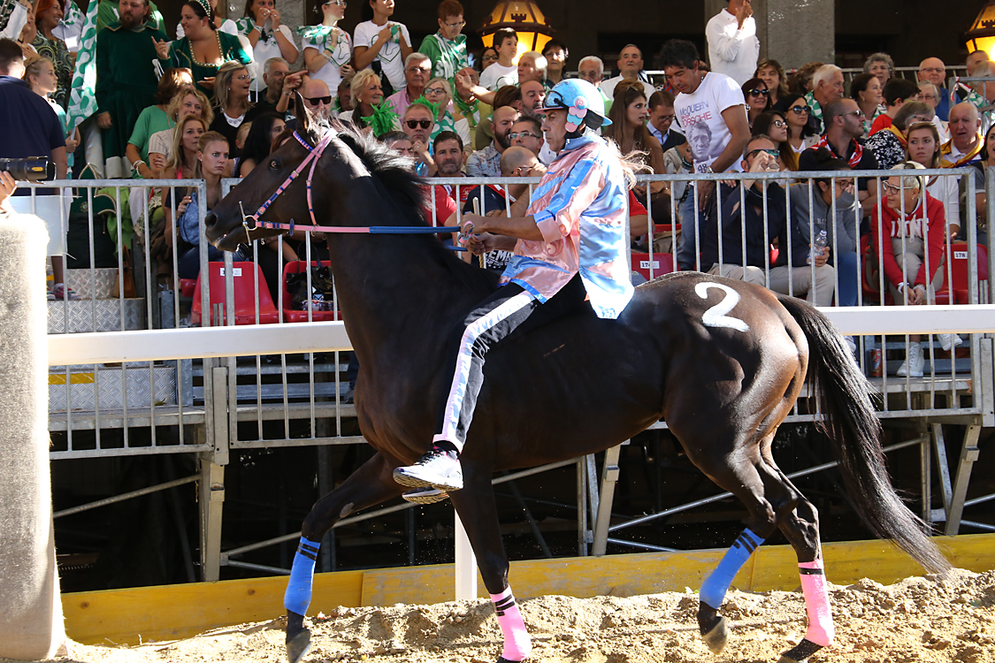 Palio2016_080.jpg