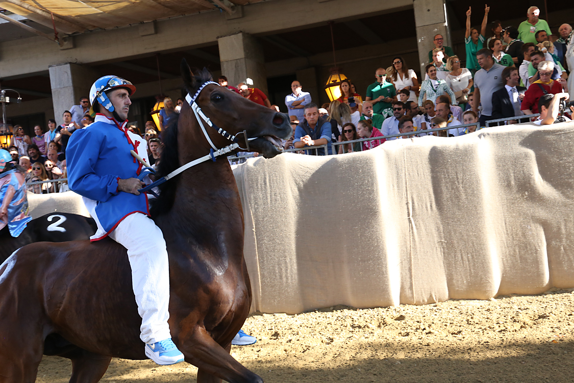 Palio2016_081.jpg