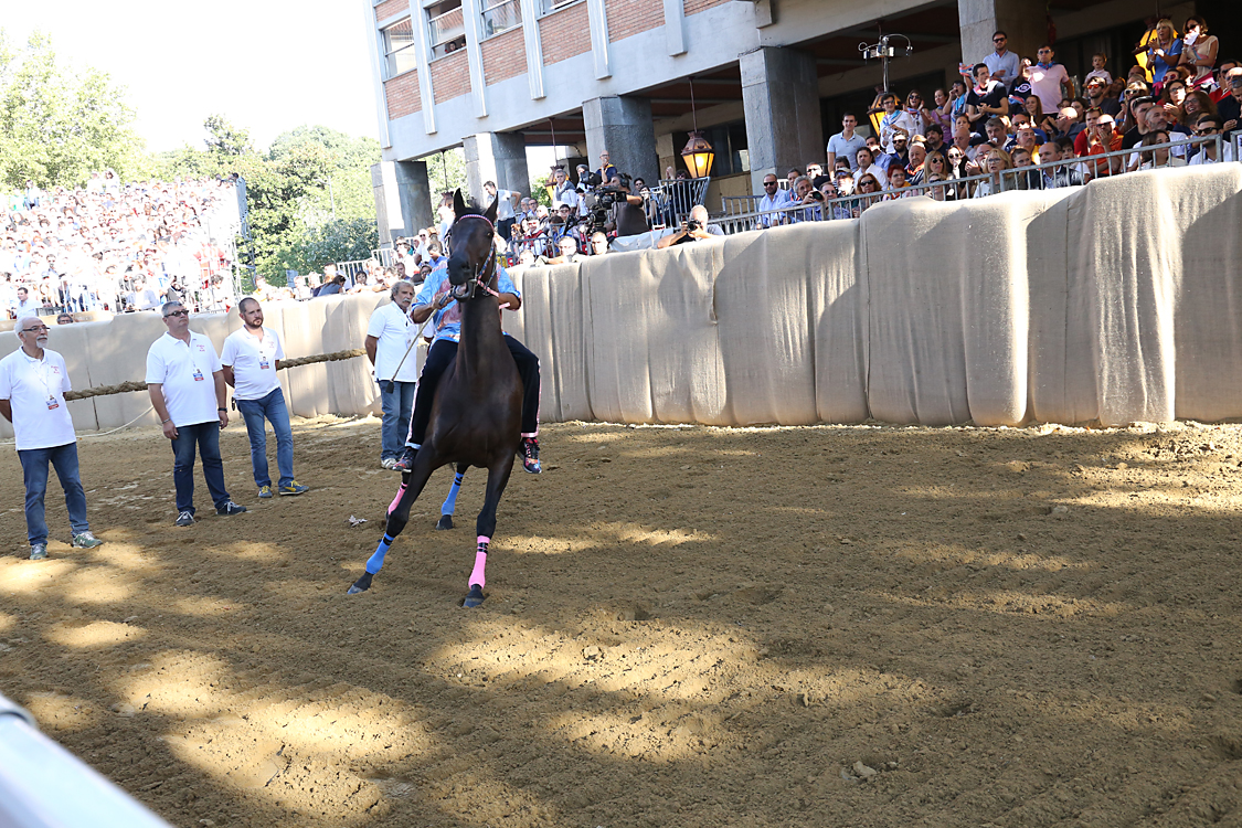 Palio2016_082.jpg