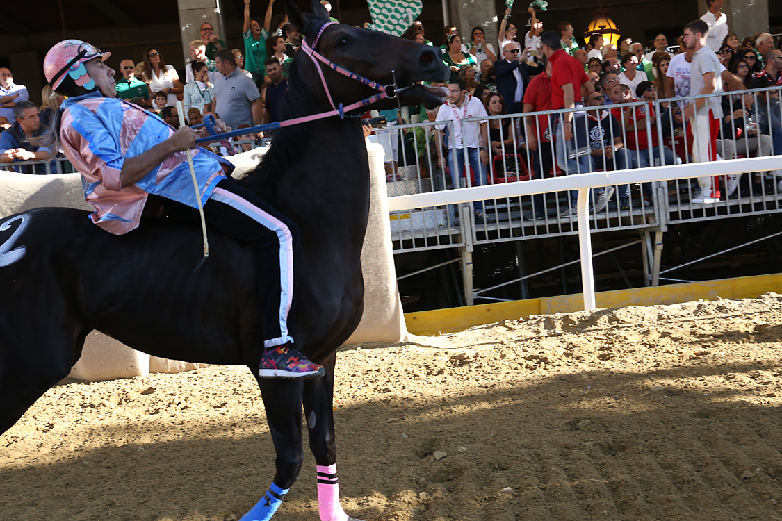 Palio2016_083.jpg