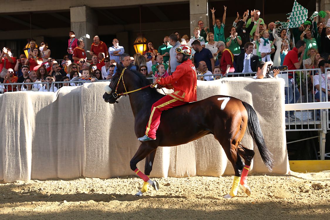 Palio2016_084.jpg