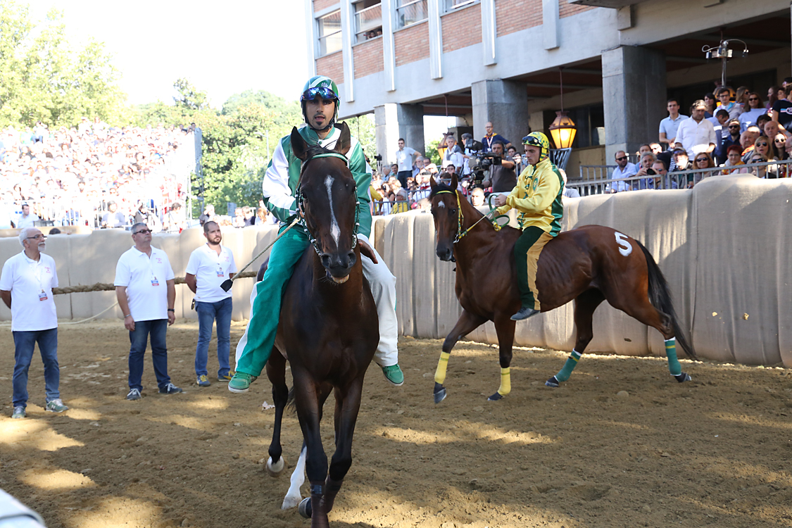 Palio2016_085.jpg