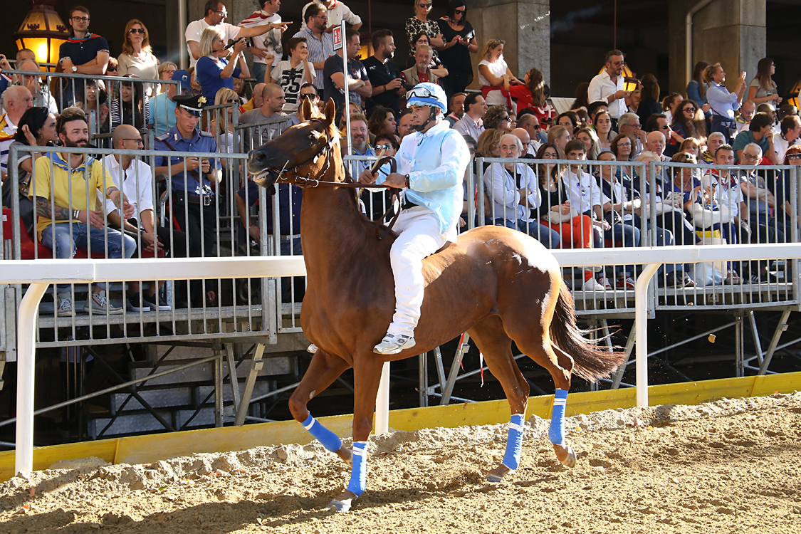 Palio2016_087.jpg
