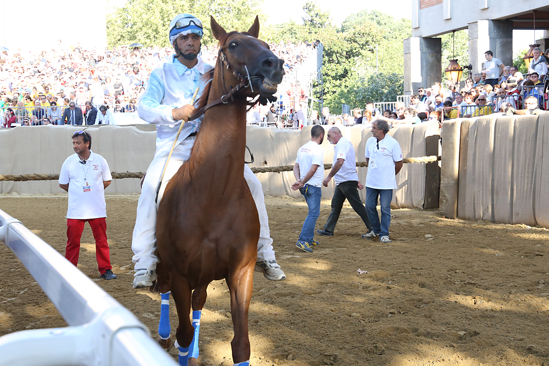Palio2016_089.jpg