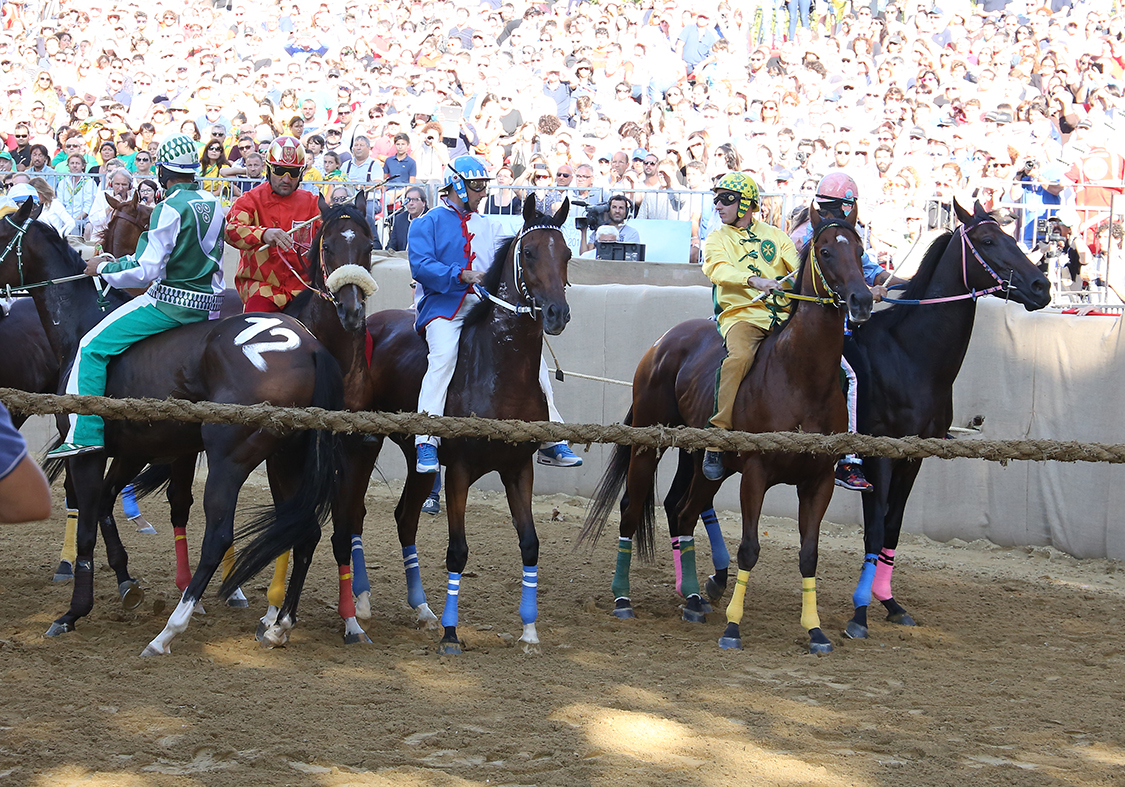 Palio2016_093.jpg