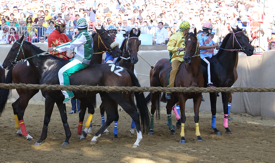 Palio2016_094.jpg