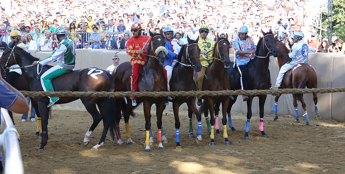 Palio2016_095.jpg