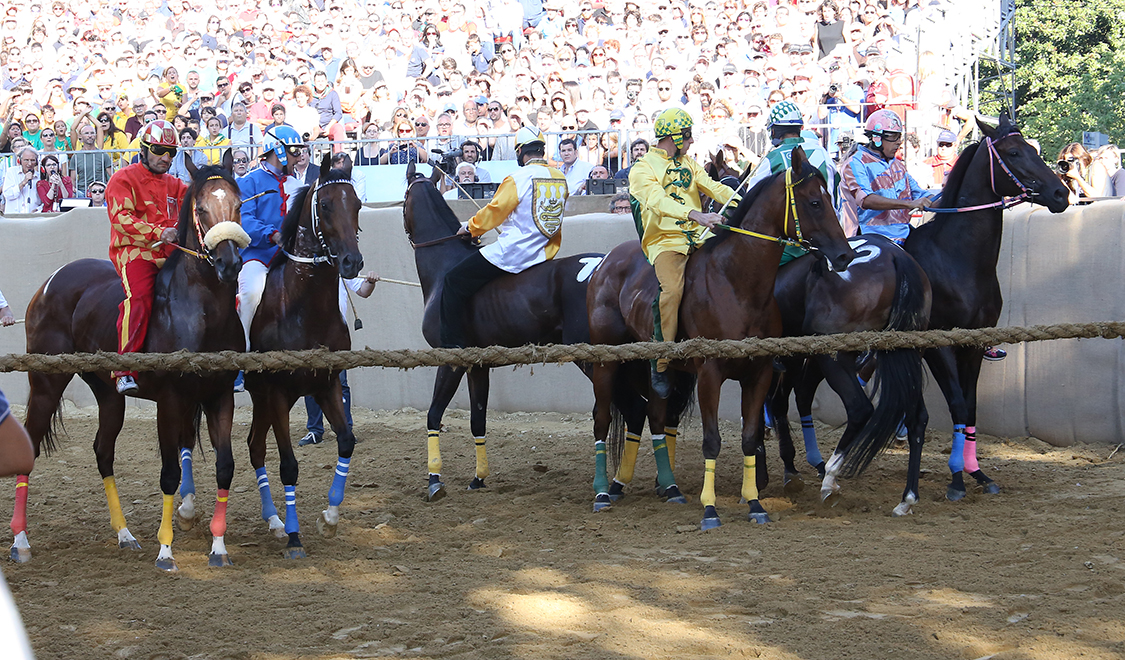 Palio2016_097.jpg
