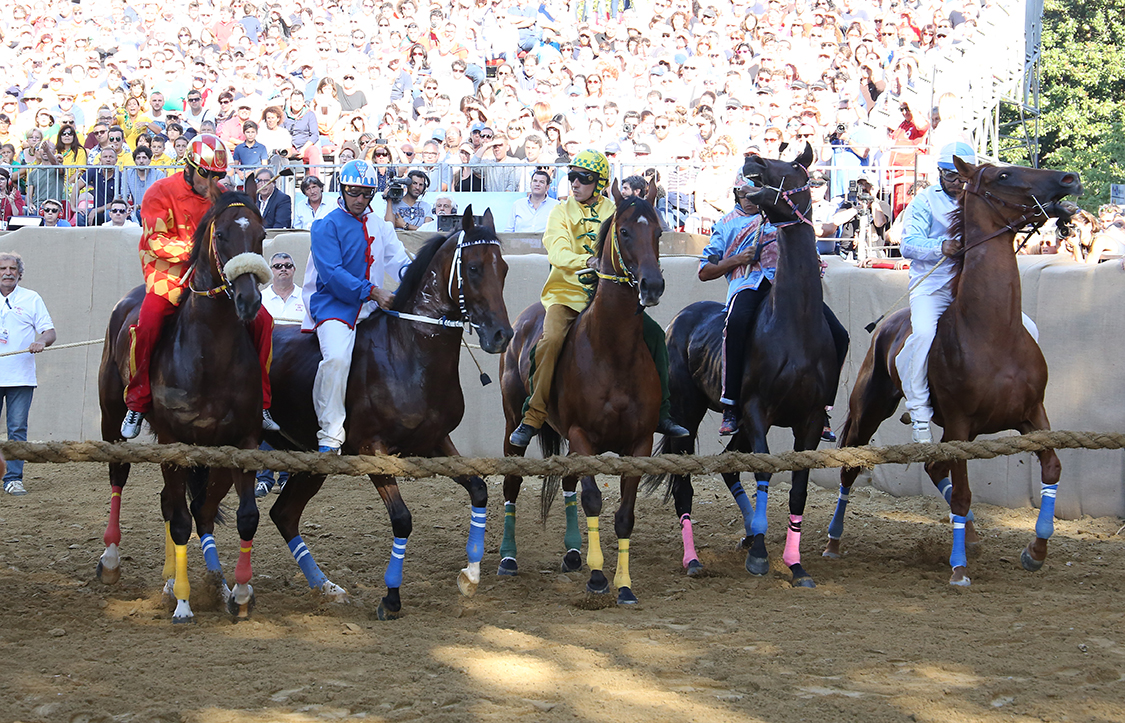 Palio2016_098.jpg