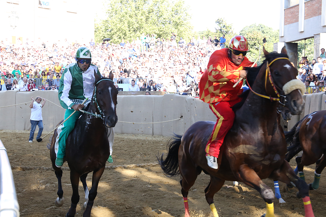 Palio2016_100.jpg