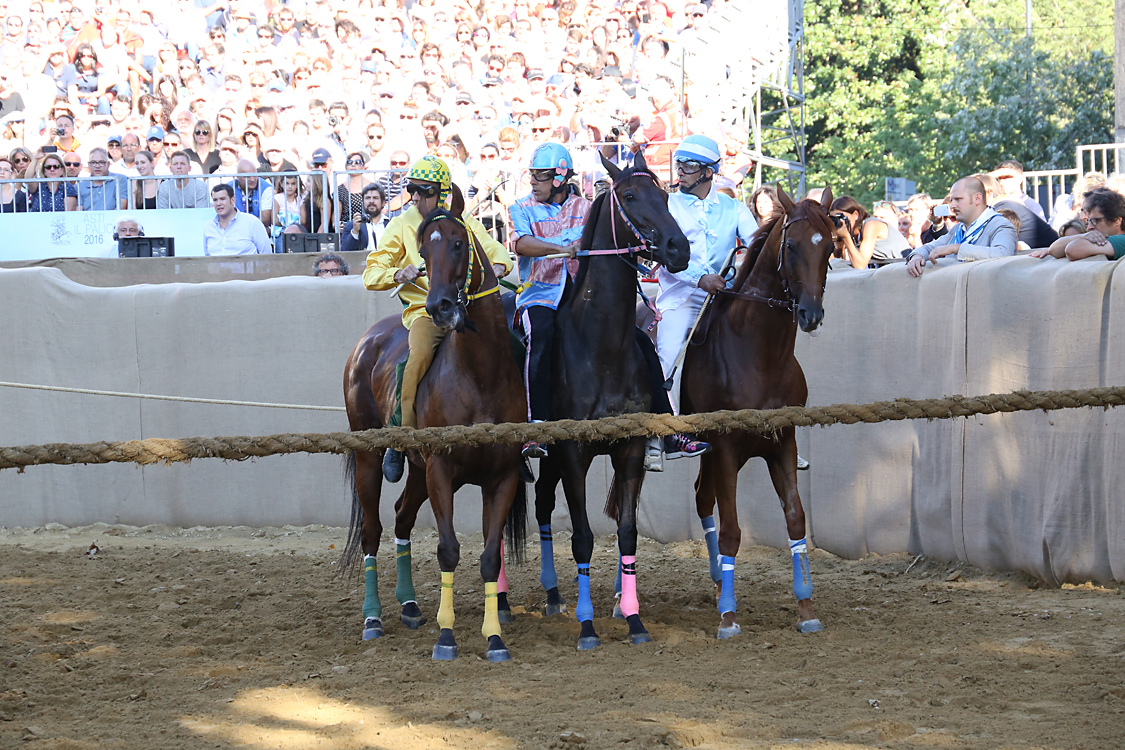 Palio2016_101.jpg