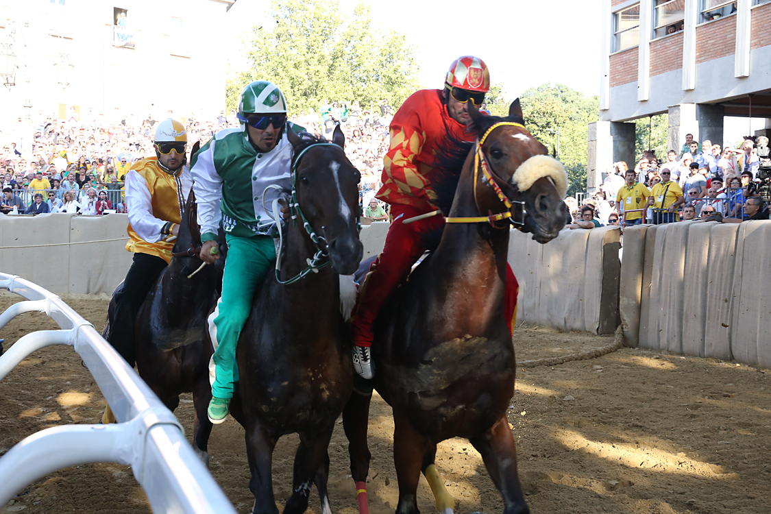 Palio2016_104.jpg