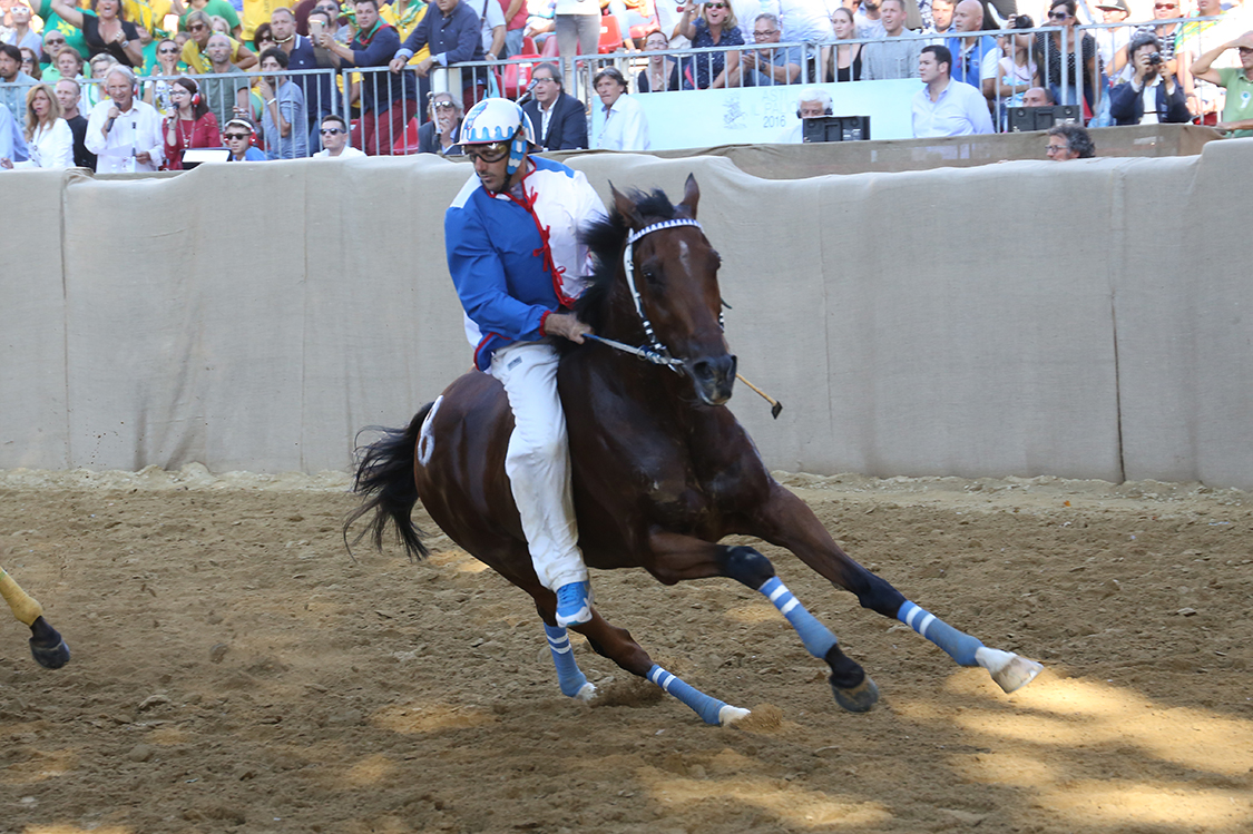 Palio2016_105.jpg