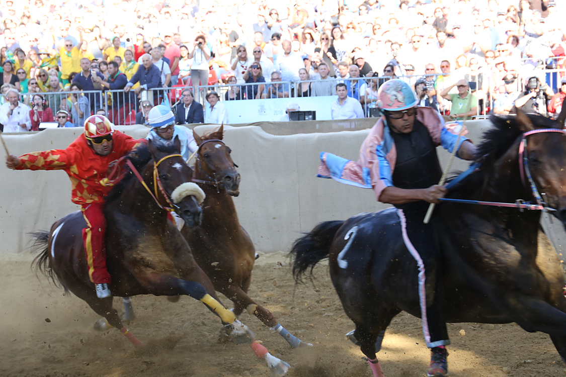 Palio2016_106.jpg
