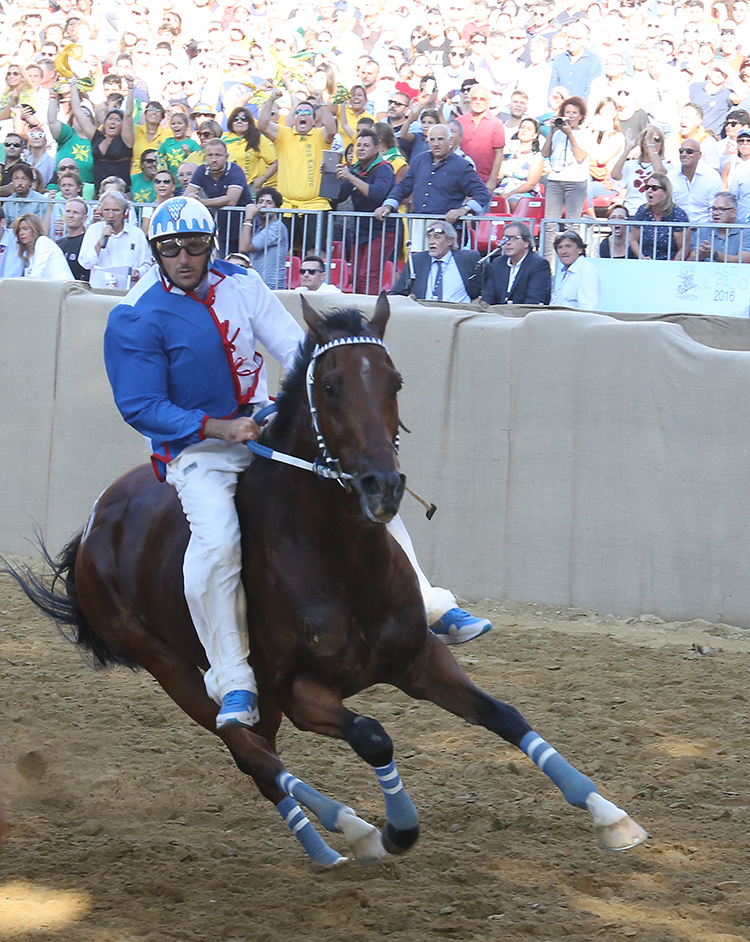 Palio2016_108.jpg